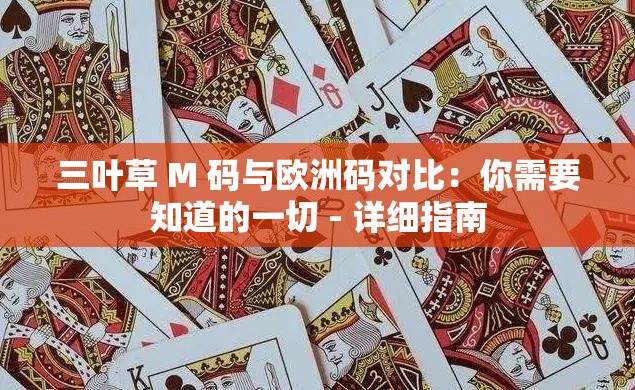 三叶草 M 码与欧洲码对比：你需要知道的一切 - 详细指南