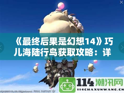 《最终后果是幻想14》巧儿海陆行鸟获取攻略：详细步骤与技巧