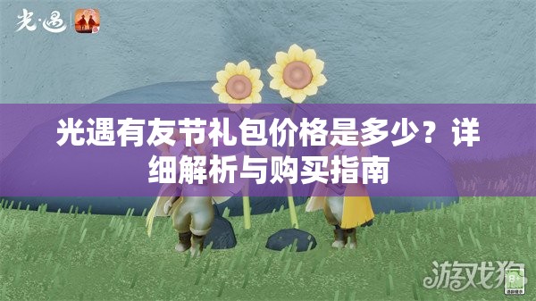 光遇有友节礼包价格是多少？详细解析与购买指南