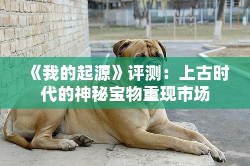 《我的起源》评测：上古时代的神秘宝物重现市场